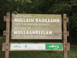 Mullaghreelan Wood